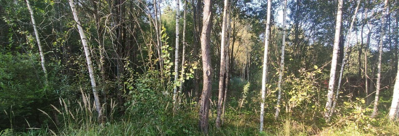 офис городской округ Талдомский д Полудёновка фото 1