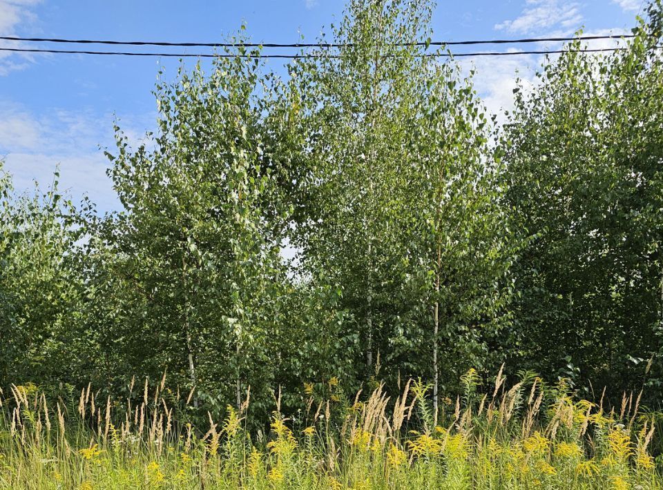 офис городской округ Луховицы п Совхоза Астапово фото 1