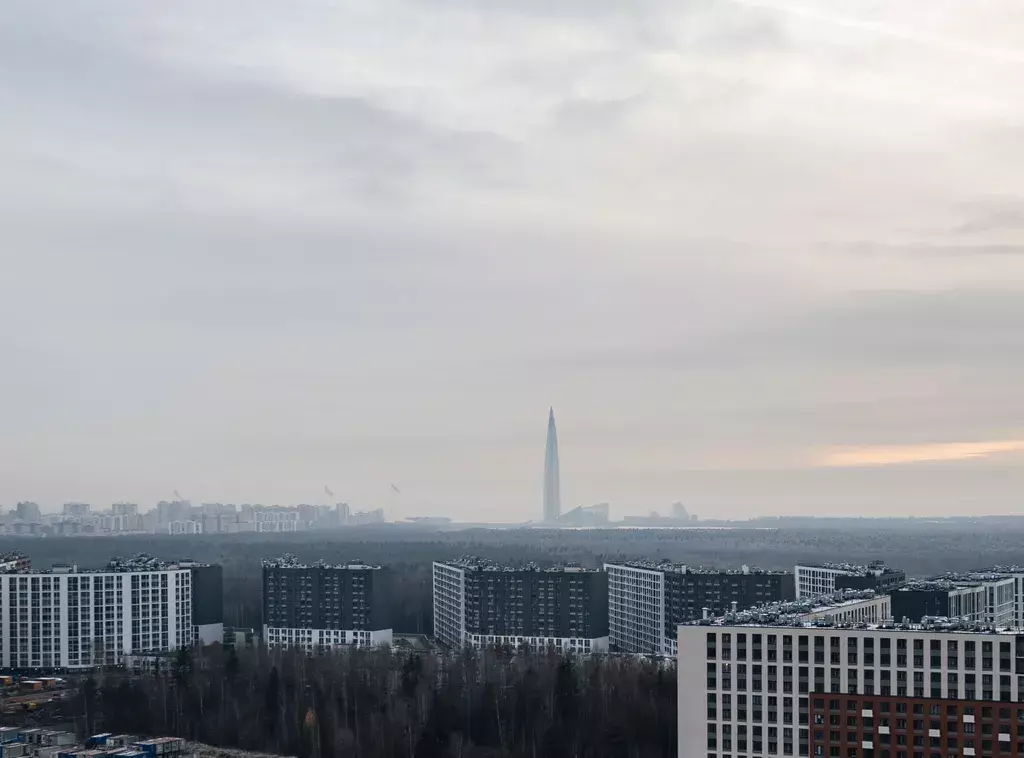 квартира г Санкт-Петербург метро Озерки пр-кт Авиаконструкторов 69 Ленинградская область фото 11