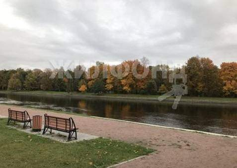 квартира г Санкт-Петербург метро Пушкинская р-н Приморский пр-кт Приморский 46/1 фото 22