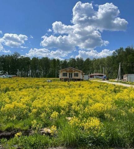 земля городской округ Домодедово д Шишкино 36 км, Растуновский административный округ, коттеджный пос. Васнецово, Садовая ул, Троицкое, Новокаширское шоссе фото 1