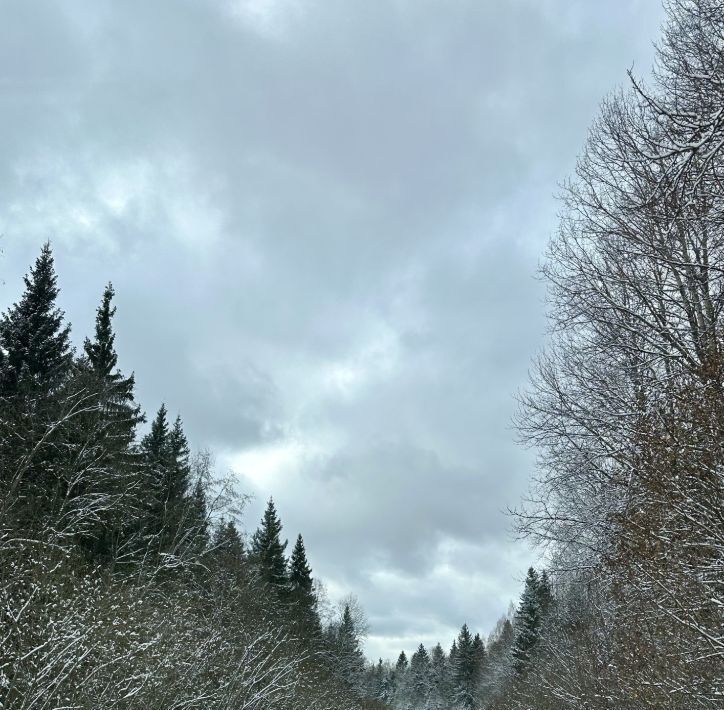 земля городской округ Дмитровский п Луговой фото 18