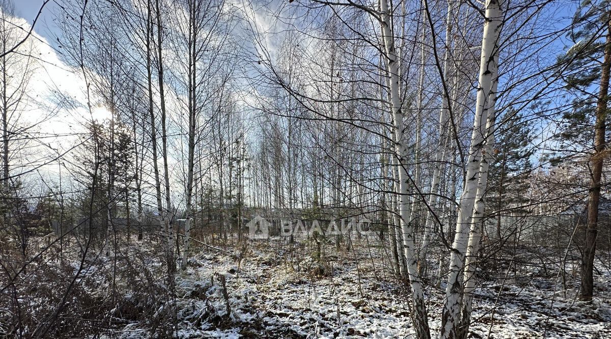 земля р-н Пензенский с/с Алферьвский снт Пушинка Алферьевский сельсовет фото 3