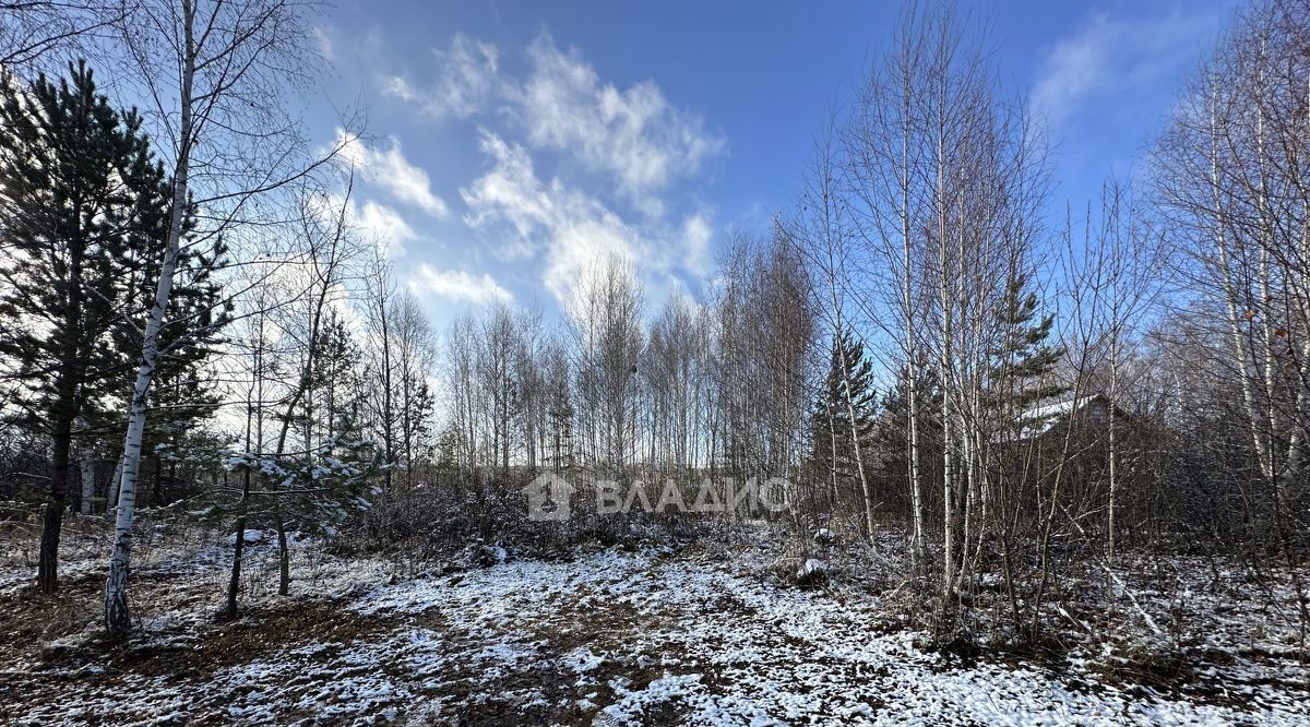 земля р-н Пензенский с/с Алферьвский снт Пушинка Алферьевский сельсовет фото 6