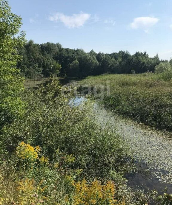 земля р-н Ферзиковский д Перцево сельское поселение Красный Городок фото 5