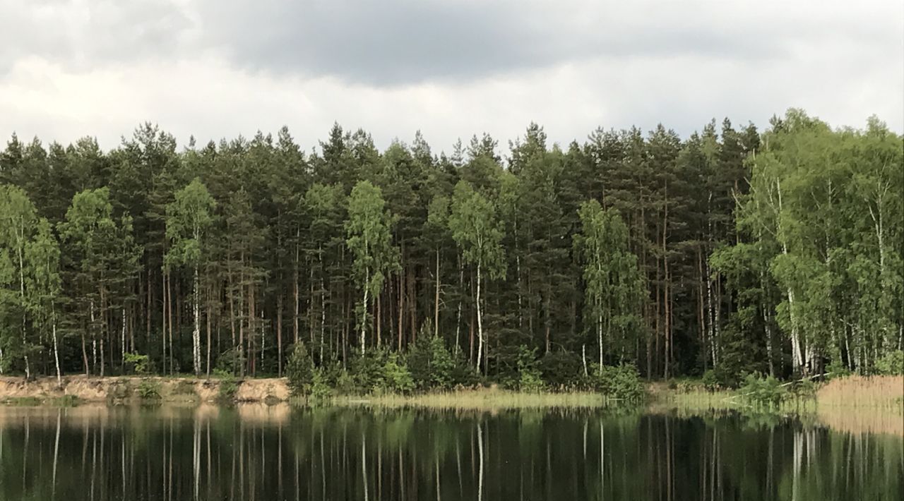 земля г Балашиха Новокосино фото 1