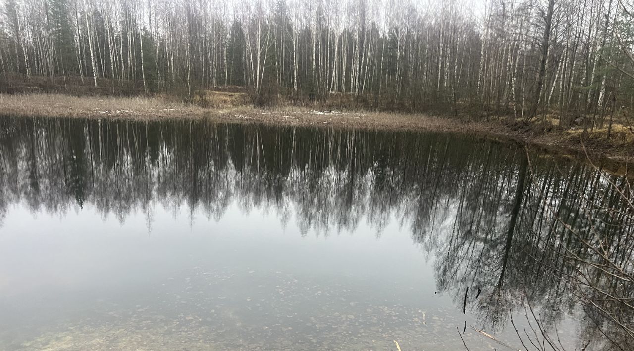 дом городской округ Орехово-Зуевский 26, Железнодорожник садовое товарищество фото 13