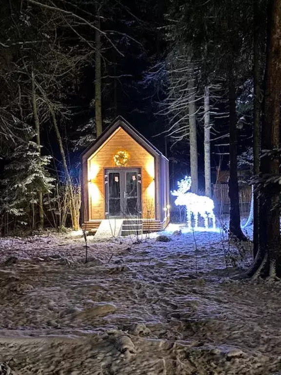 дом городской округ Дмитровский д Сазонки 600, Дмитров, Саларьево фото 16