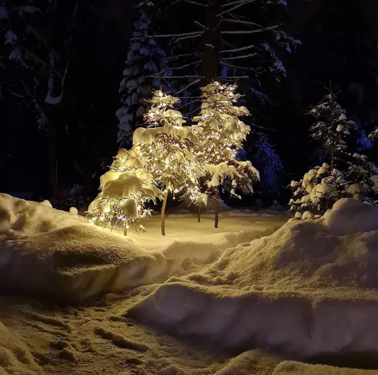 дом городской округ Дмитровский д Сазонки 600, Дмитров, Саларьево фото 17