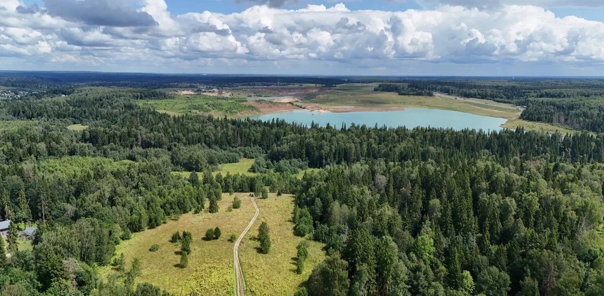 земля городской округ Дмитровский рп Икша 31 км, коттеджный пос. Усадьбы Удино, Рогачёвское шоссе фото 5