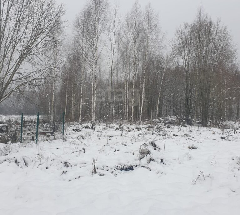 земля р-н Тосненский д Кирково Любанское городское поселение фото 4