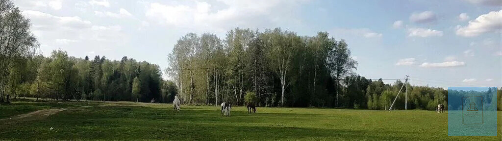 земля г Щёлково днт Новинки городской округ Солнечногорск фото 5