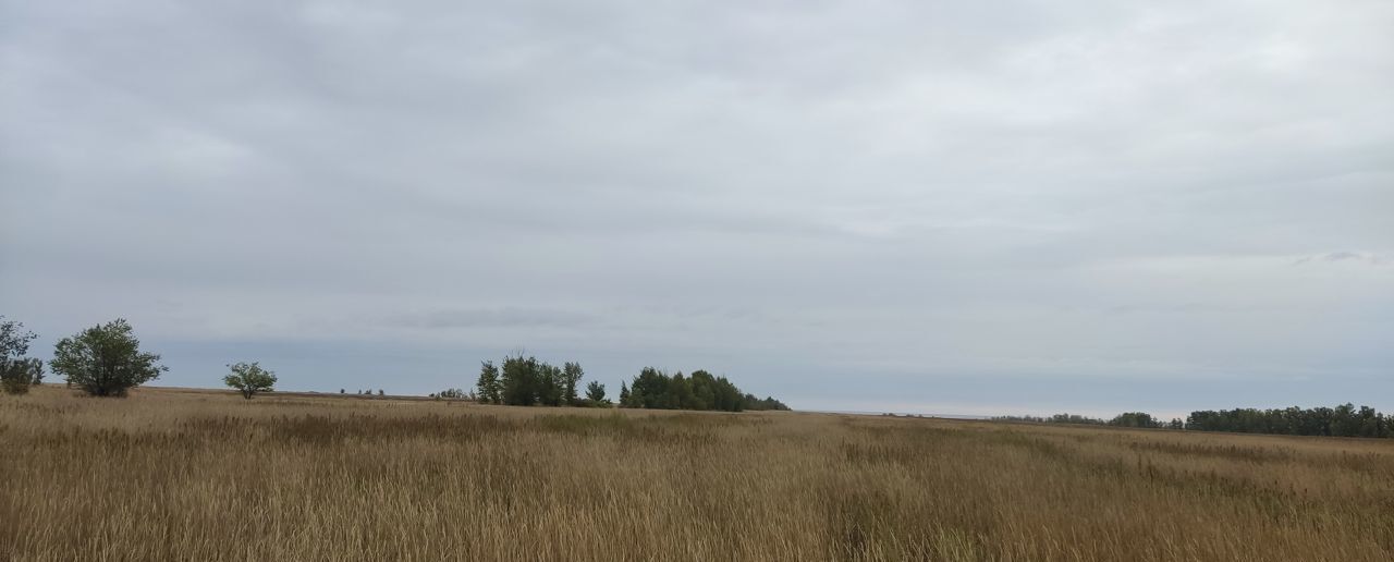 земля р-н Угловский с Наумовка сельсовет, Лаптевский, Угловское фото 1