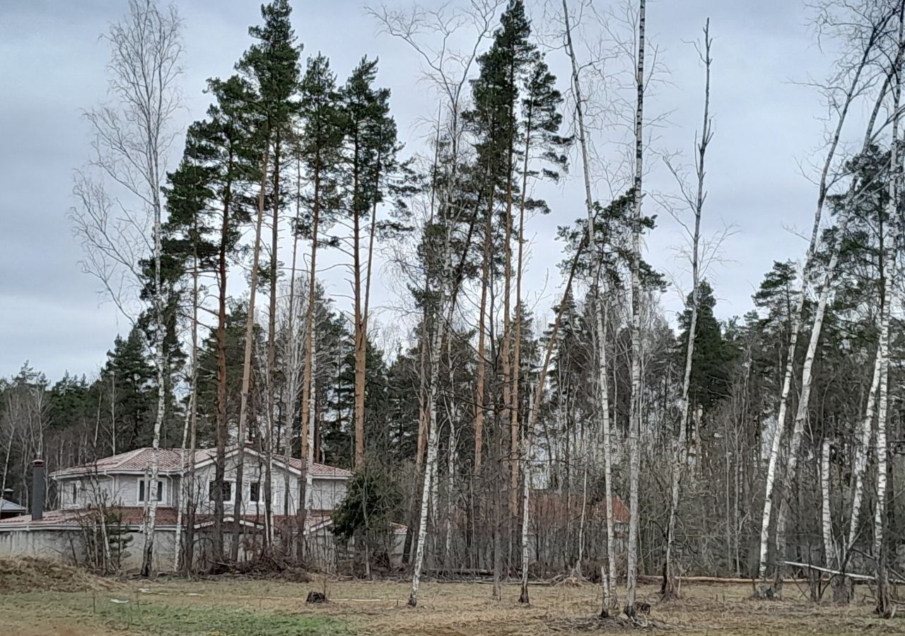 земля городской округ Богородский г Электроугли 21 км, коттеджный пос. Восточная д, Носовихинское шоссе фото 37