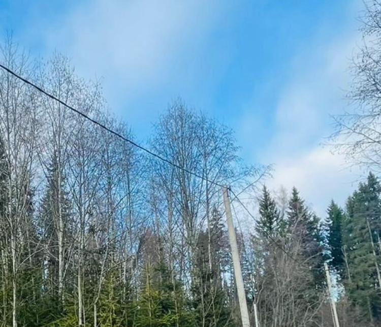 земля городской округ Рузский д Петряиха ул Лесная поляна фото 9