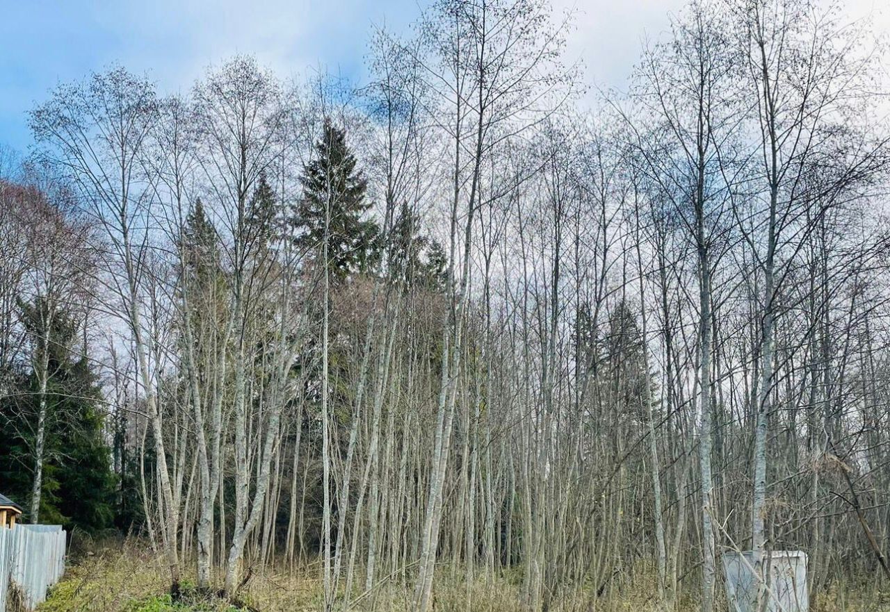 земля городской округ Рузский д Петряиха ул Лесная поляна фото 12