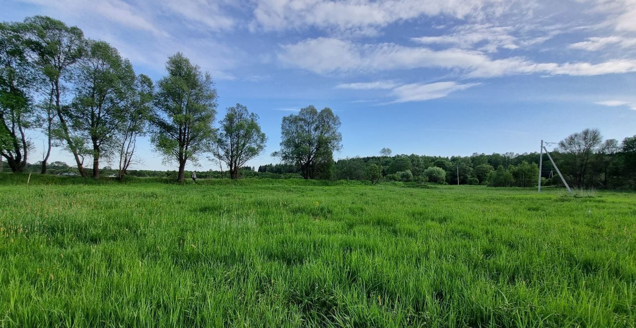 земля городской округ Наро-Фоминский д Серенское 92 км, Верея, Киевское шоссе фото 3