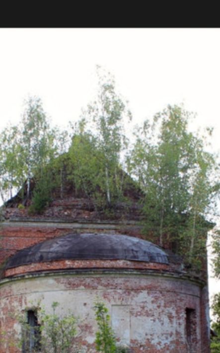 земля городской округ Дмитровский д Кузяево фото 23