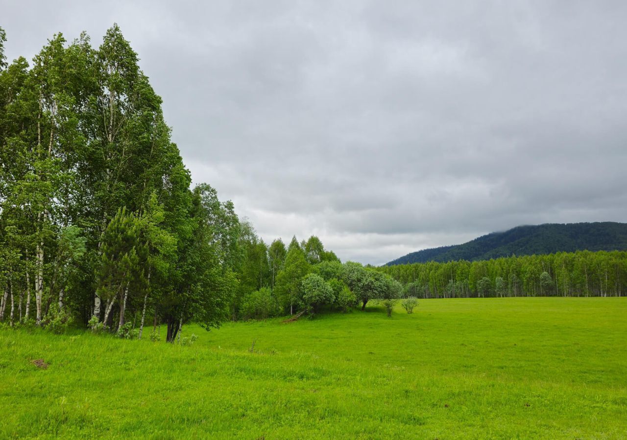 земля р-н Турочакский с Тулой Турочак фото 5