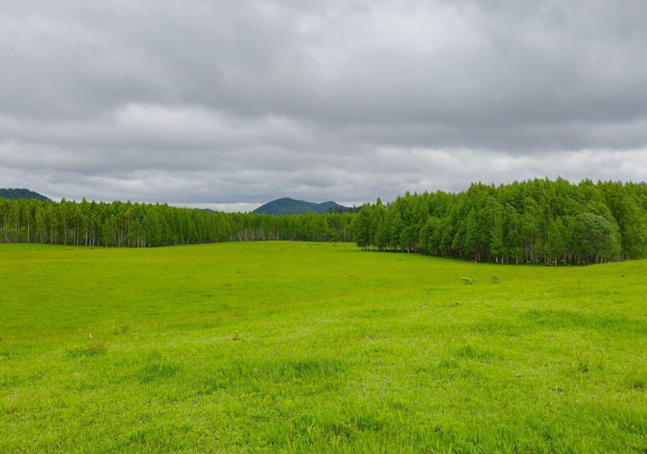 земля р-н Турочакский с Тулой Турочак фото 15