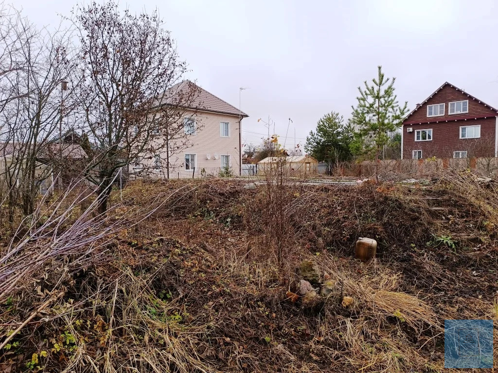 земля городской округ Солнечногорск д Пятница Ленинградское фото 13