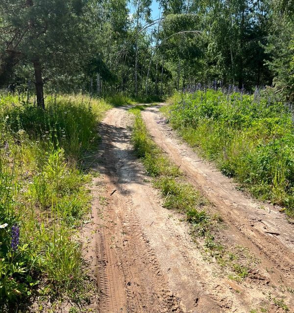 земля р-н Богородский сельский посёлок Майоровка, Майоровская улица фото 4