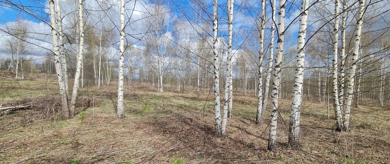 земля р-н Череповецкий д Циково муниципальное образование Югское, Череповец фото 8