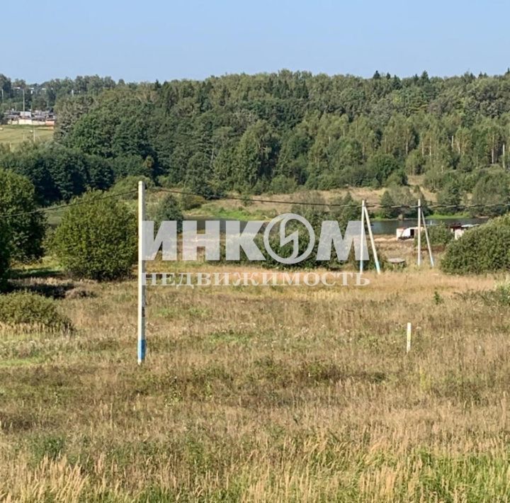 дом городской округ Пушкинский д Митрополье ул Центральная 34 фото 26