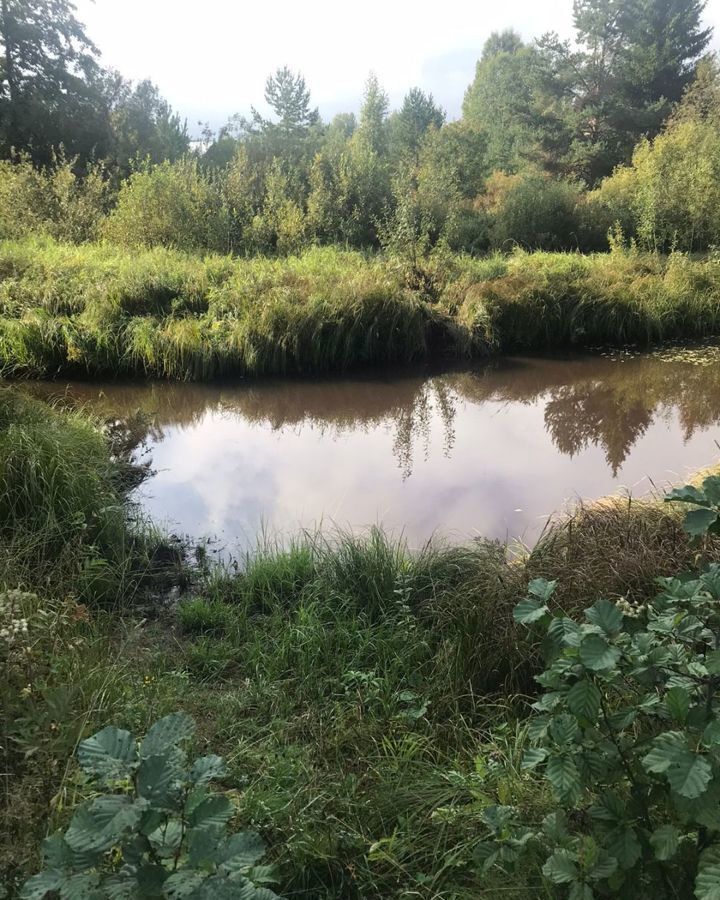 дом р-н Устюженский д Понизовье ул Долгушка Устюжна, деревня Шутово фото 13