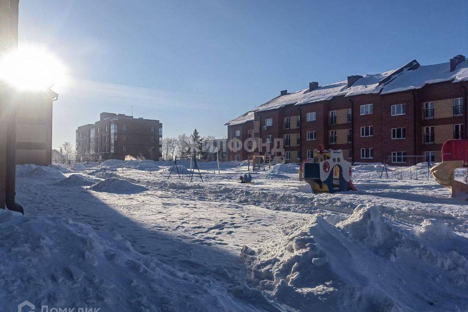 квартира р-н Новосибирский п Ложок ул Солнечная 1/2 фото 1