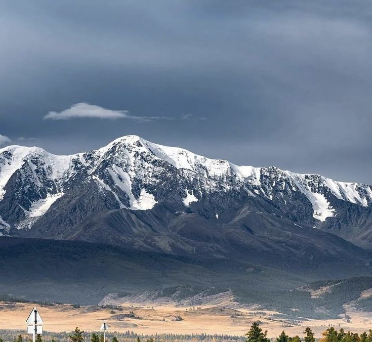 офис р-н Кош-Агачский с Курай ул Зеленая 10 фото 1