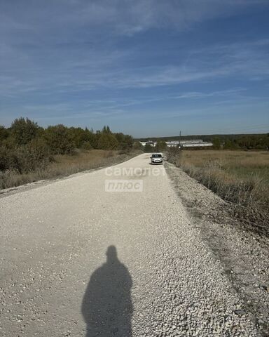 земля д Бородино муниципальное образование Новоалександровское, Владимир фото