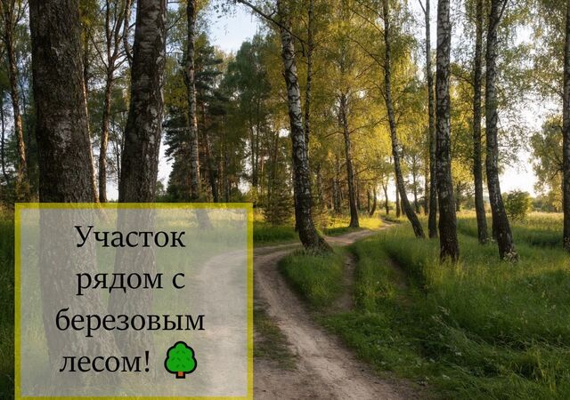 д Уварово 37 км, Растуновский административный округ, Лесная ул, Домодедово, Новокаширское шоссе фото