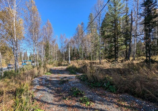 ул Родниковая Шерегешское городское поселение фото