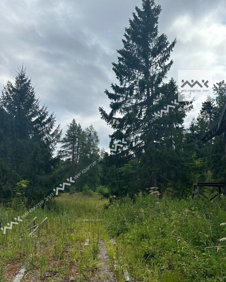 земля р-н Приозерский г Приозерск Трасса Сортавала, 93 км, Ларионовское сельское поселение фото 7