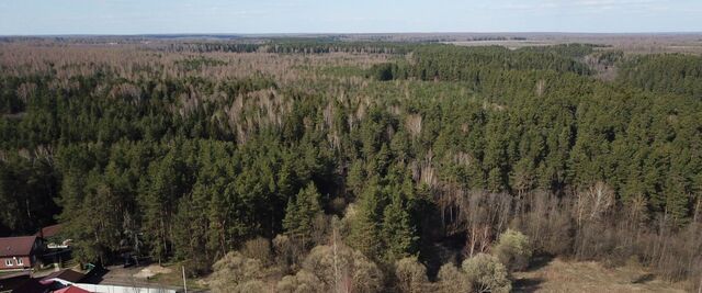 д Легково муниципальное образование, Андреевское фото