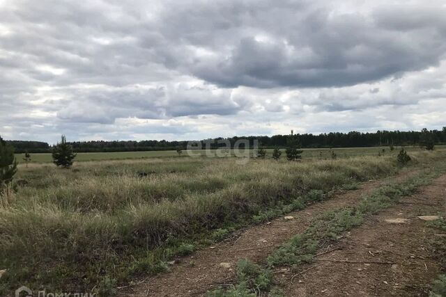 земля Белая лошадь, клубный посёлок, Сысертский городской округ фото