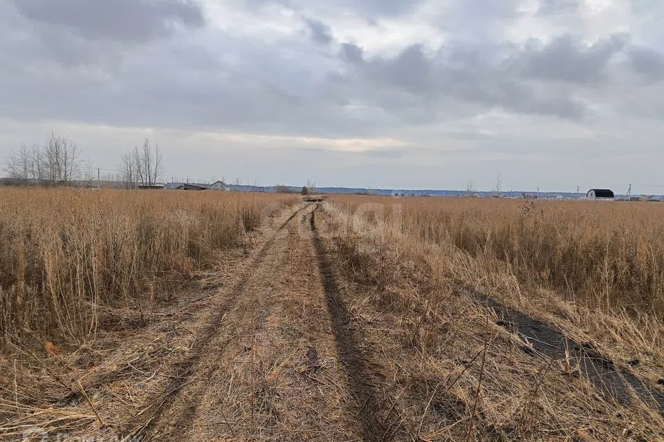 земля р-н Тюменский село Мальково фото 4