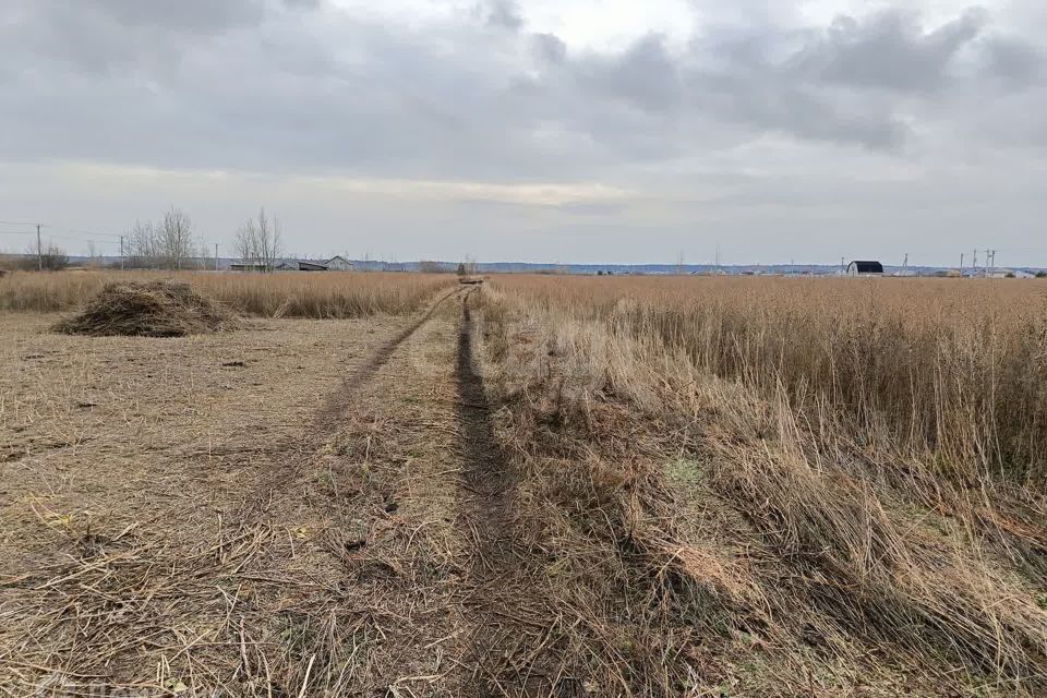 земля р-н Тюменский село Мальково фото 2