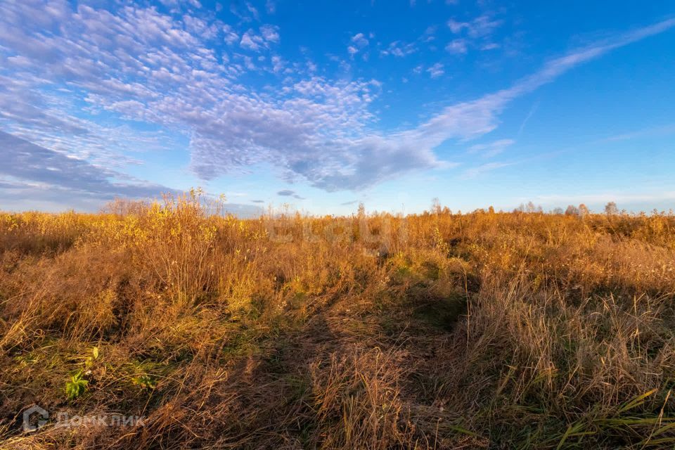 земля г Тюмень городской округ Тюмень, Калининский фото 4