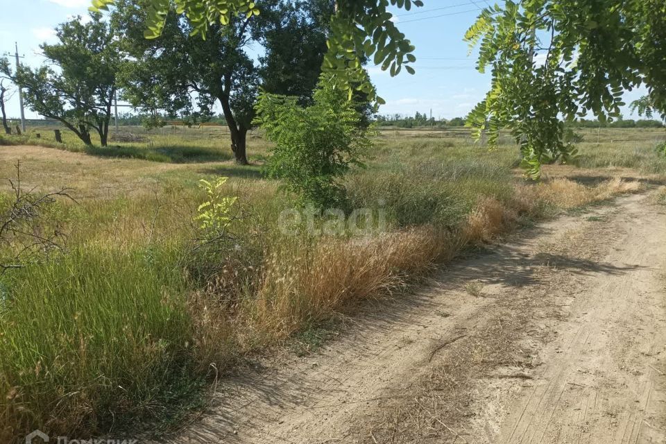 земля р-н Неклиновский с Вареновка ул Социалистическая 109 фото 4