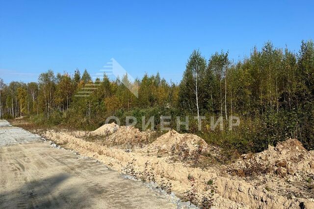 земля Берёзовский городской округ, СНТ 127 Дачник фото