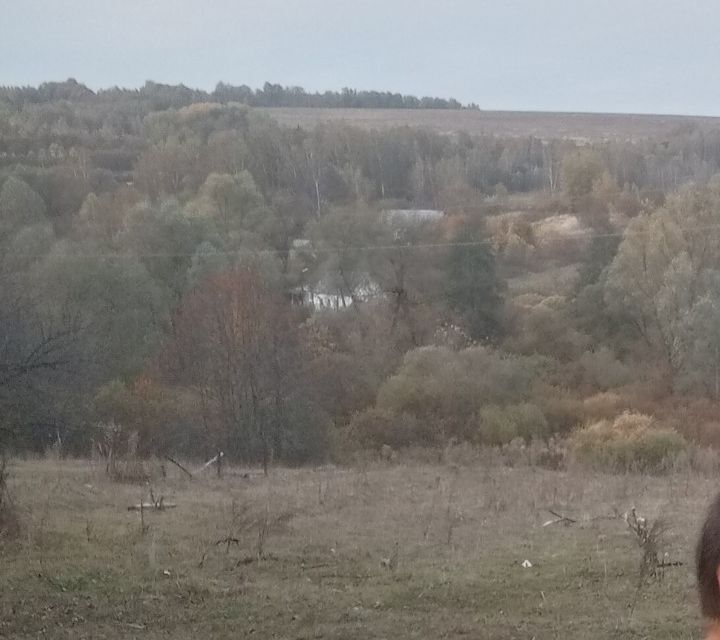 земля р-н Дубенский деревня Слобода фото 1