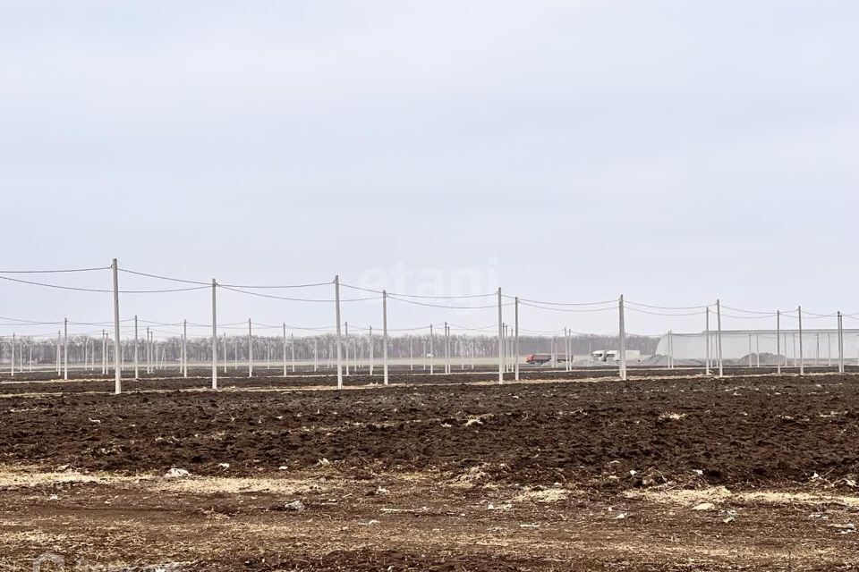 земля р-н Неклиновский с Новобессергеневка ул Садовая фото 3