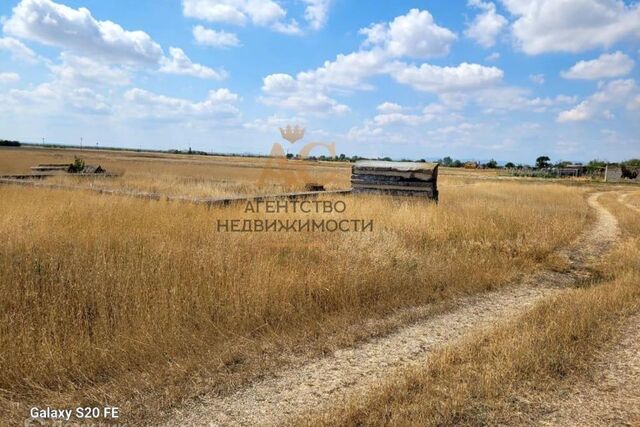 село Васильковое фото