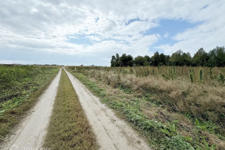 земля р-н Тюменский село Борки фото 1