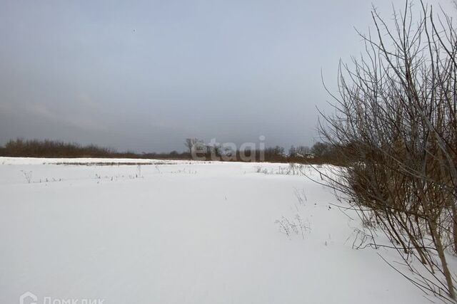 Центральная фото