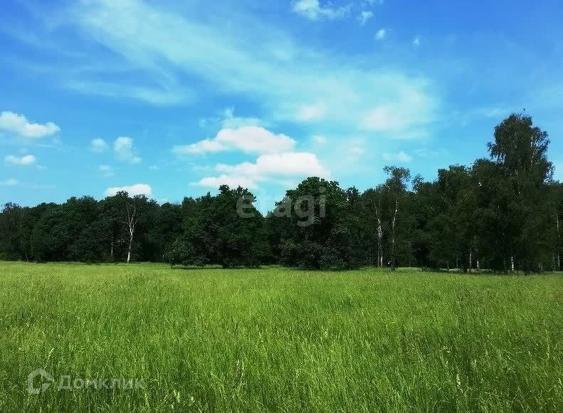 земля р-н Пензенский село Воскресеновка фото 1