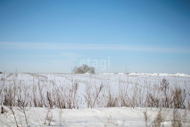 село Бессоновка фото