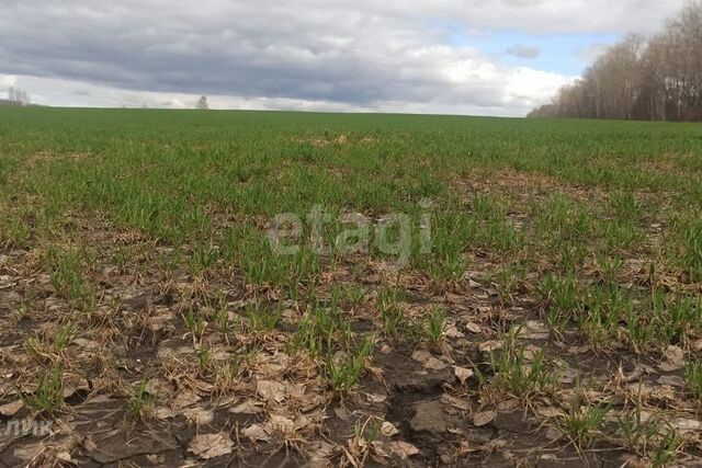 село Калинино фото